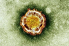 mers-virus