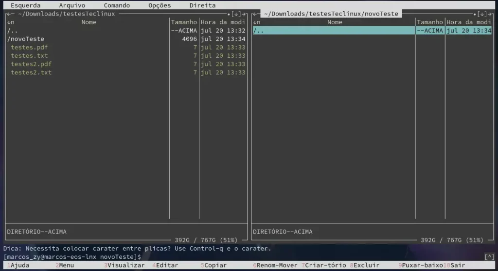 Utilizando o Midnight Commander